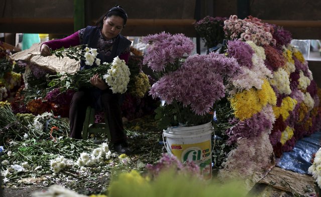 A florist arranges flowers at the Piedra Liza flower market in Lima April 29, 2015. (Photo by Mariana Bazo/Reuters)
