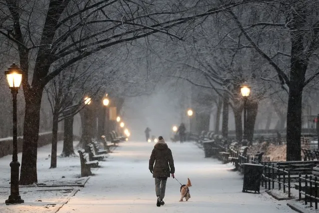 A woman walks a dog in Riverside Park as snow falls during winter weather in Manhattan in New York City, U.S., February 13, 2024. (Photo by Mike Segar/Reuters)