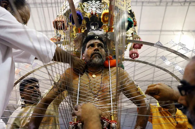 A devotee makes adjustments to his kavadi during the Hindu festival of Thaipusam in Singapore February 9, 2017. (Photo by Edgar Su/Reuters)