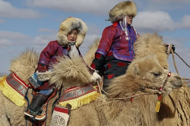 A child rides a camel during “Temeenii bayar”, the Camel Festival, in Dalanzadgad, Umnugobi aimag, Mongolia, March 6, 2016. (Photo by B. Rentsendorj/Reuters)