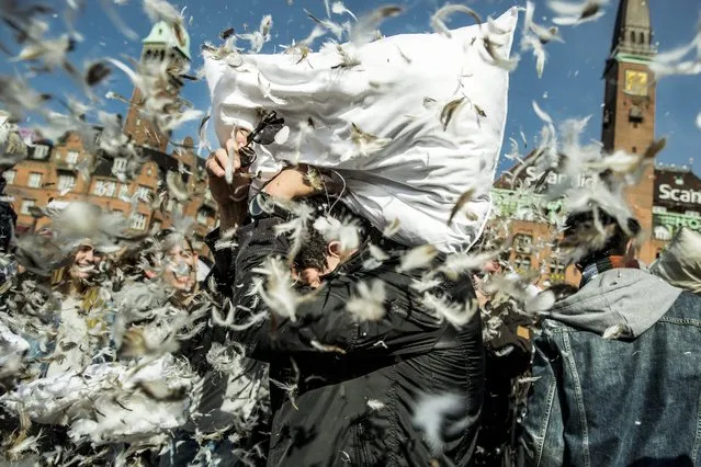 People fight with pillows during World Pillow Fight Day in front of the City Hall in Copenhagen, Denmark, 02 April 2016. (Photo by Nikolai Linares/EPA)
