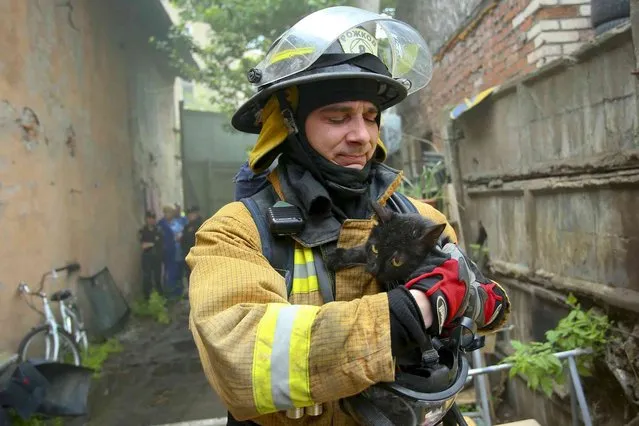 In this photo provided by Russian Emergency Situations Ministry for Northwest press service, a Russian emergency worker evacuates a cat from a burning animal shelter in St. Petersburg, Russia, Friday, June 14, 2019. The Emergencies Ministry said its workers saved 300 cats and seven dogs from the fire. (Photo by Ministry of Emergency Situations for Northwest press service via AP Photo)