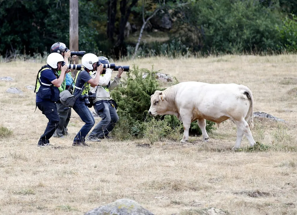 The Day in Photos – July 19, 2015