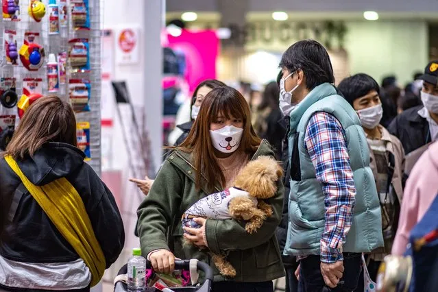 People and their pets visit the “Interpets – International fair for a better life with pets” in Tokyo on April 1, 2022. (Photo by Philip Fong/AFP Photo)