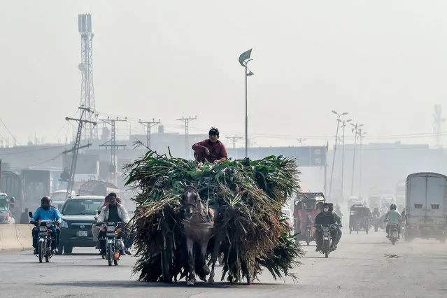 A man rides his loaded horse cart amid heavy smog conditions in Lahore on November 15, 2019. (Photo by Arif Ali/AFP Photo)