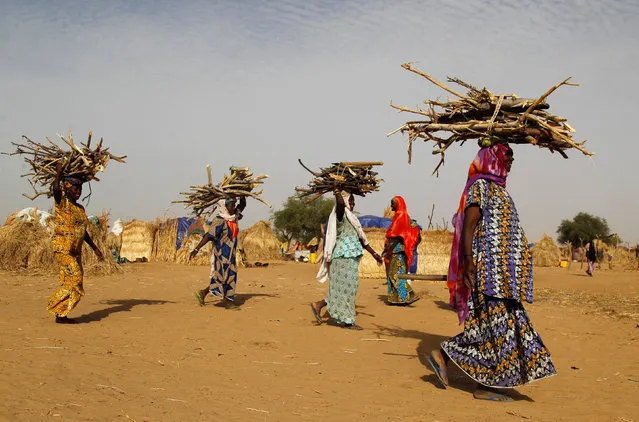 Women carry fire woods at the Boudouri site for displaced persons outside the town of Diffa in southeastern Niger June 21, 2016. (Photo by Luc Gnago/Reuters)