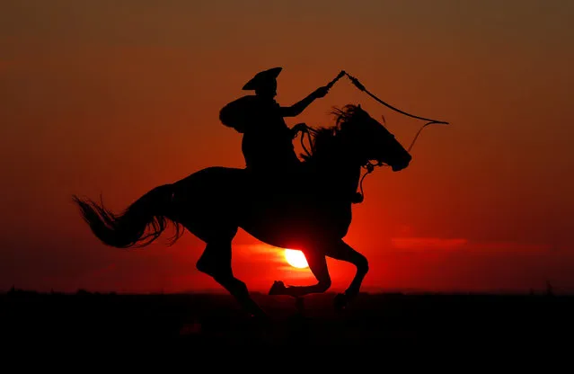 A traditional Hungarian horseman practices whiplashes as the sun sets in the Great Hungarian Plain in Hortobagy, Hungary June 29, 2016. (Photo by Laszlo Balogh/Reuters)