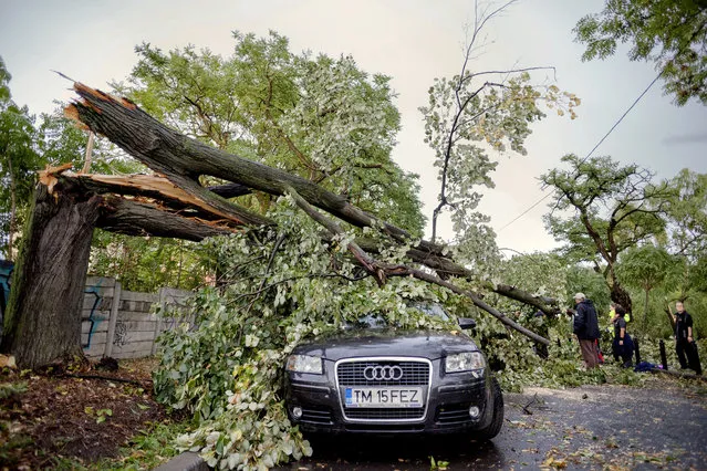 Emergency workers stand next to a fallen tree in Timisoara, Romania, Sunday, September 17, 2017, following a deadly storm that affects the west part of the country. Authorities say six people have died and at least 30 were injured during a violent storm in western Romania that produced winds of up to 100 kilometers (60 miles) an hour. (Photo by Cornel Putan/AP Photo)