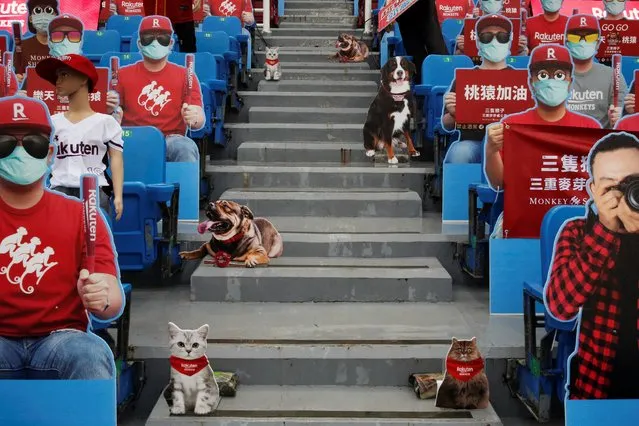 Dummies replaced audience due to the outbreak of the coronavirus disease (COVID-19) at the first professional baseball league game of the season at Taoyuan International baseball stadium in Taoyuan city, Taiwan, April 11, 2020. (Photo by Ann Wang/Reuters)