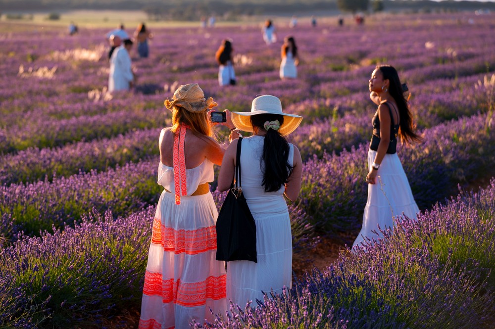 Some Photos: In Flowers