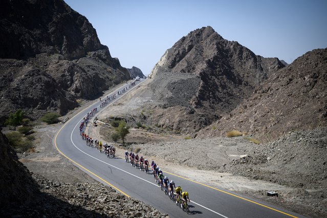 The pack rides during the fourth stage of the Tour of Oman cycling race from Oman Across Ages Museum to Oman Convention Center, on February 11, 2025. (Photo by Loic Venance/AFP Photo)