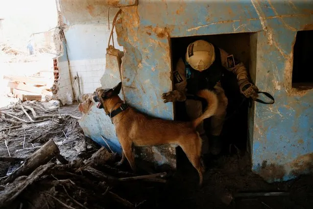 A Belgian shepherd dog member “K9” of the National Service of Medicine and Forensic Sciences is seen during rescue work in Las Tejerias, Aragua state, which was hit by devastating floods following heavy rain, Venezuela on October 11, 2022. (Photo by Leonardo Fernandez Viloria/Reuters)