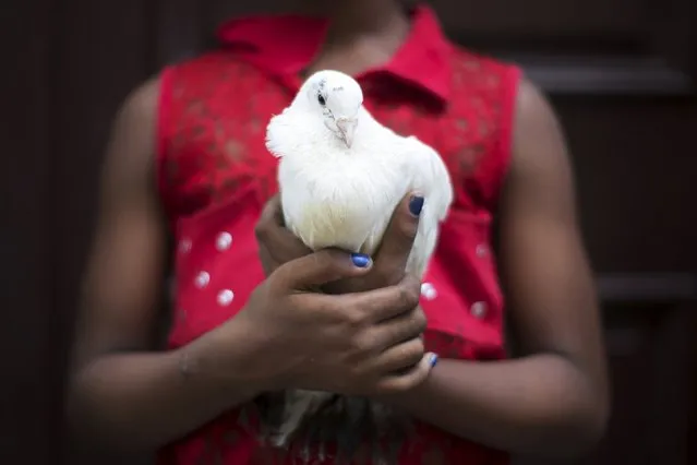 Gilian Caballero, 8, holds a pigeon for sale used for Santeria rituals in downtown Havana, August 4, 2015. (Photo by Alexandre Meneghini/Reuters)