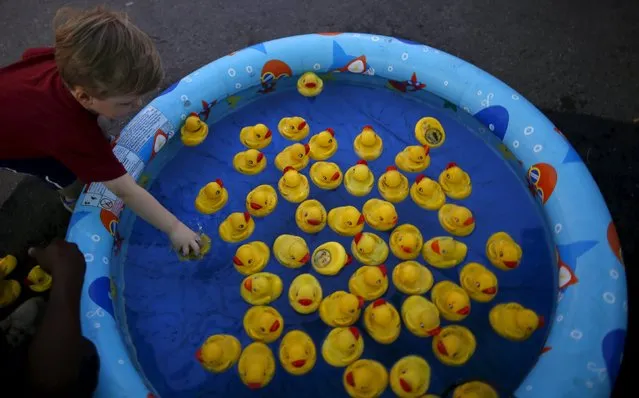 A boy picks a rubber duck from a small pool in a game of chance at the Iowa State Fair in Des Moines, Iowa, United States, August 15, 2015. (Photo by Jim Young/Reuters)