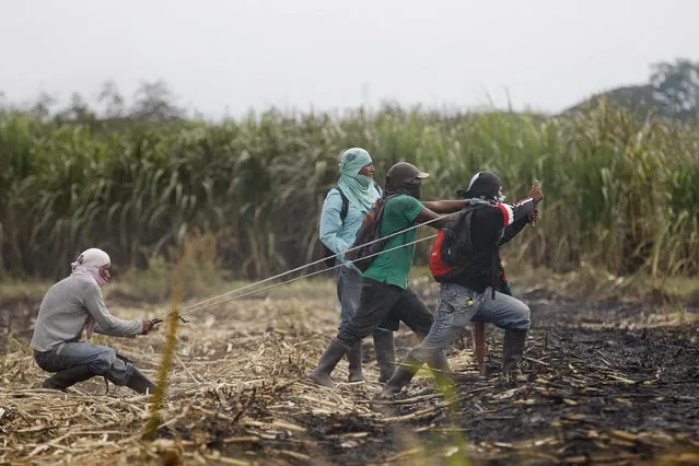 Indigenous people use a slingshot during a clash with security personel at a farm used for sugar cane cultivation, in Corinto, Cauca department, Colombia, 29 August 2016. The indigenous people in the Cuaca department claim that they were expelled from the land by large scale landowners, who use the land to harvest only sugar cane. Several years ago the government of Colombia signed an agreement with indigenous groups to return a portion of the land, but the indigenous groups claim that the agreements were never fulfilled. The indigenous people in the area will attempt to take over a farm used for only one product and sow products for their community use. (Photo by Christian Escobar Mora/EPA)