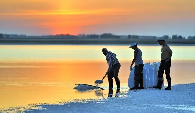 Workers extract salt at a saltmine near the Siberian town of Barnaul on August 15, 2011. (Photo by Alexander Blotnitsky/AFP Photo)