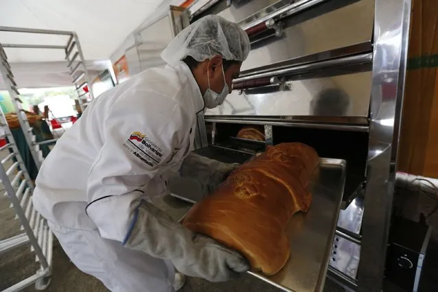A baker bakes part of a a giant ham bread, a typical Venezuelan Christmas dish, during an attempt to break the Guinness World Record for the biggest ham bread, in Caracas November 15, 2014. (Photo by Carlos Garcia Rawlins/Reuters)