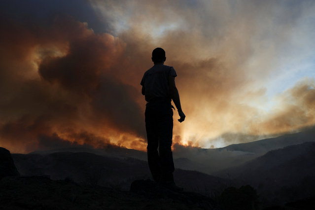 A man looks at a wildfire on the outskirts of Mombeltran, Spain, on July 29, 2025. (Photo by Juan Medina/Reuters)
