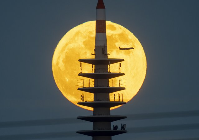 The moon rises behind the television tower in Frankfurt, Germany, Tuesday, April 23, 2024. (Photo by Michael Probst/AP Photo)