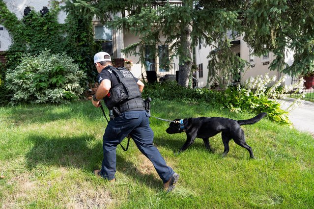 A K-9 dog searches a front yard, after a shooting at Annunciation Church, which is also home to an elementary school, in Minneapolis, Minnesota, on August 27, 2025. (Photo by Tim Evans/Reuters)