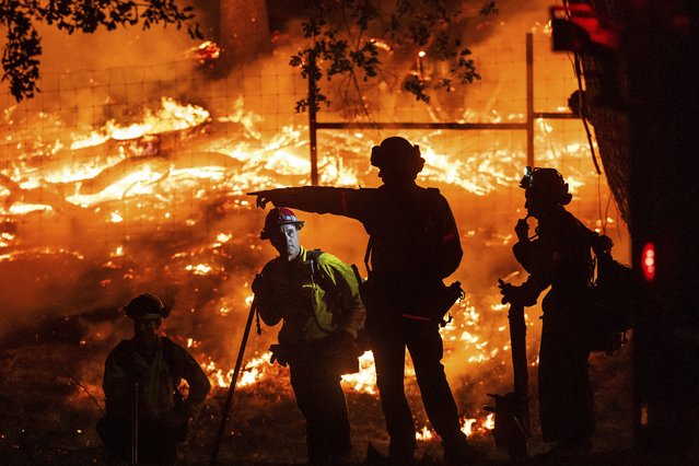 Firefighters battle the Pickett Fire burning in the Aetna Springs area of Napa County, Calif., on Saturday, August 23, 2025. (Photo by Noah Berger/AP Photo)