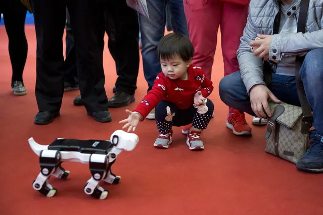 A child reaches out to a robotic dog displayed at the World Robot Conference in Beijing, China, Friday, October 21, 2016. The conference showcased China's burgeoning robot industry as the nation seeks to increase the use of robots in its manufacturing and service industries. (Photo by Ng Han Guan/AP Photo)