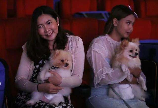 People and their pets sit inside a movie theatre during the opening day of the pet friendly theatre “i-Tail Pet Cinema” at Mega Cineplex in Samut Prakan province, Thailand, 10 June 2023. (Photo by Narong Sangnak/EPA)