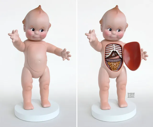 Anatomical Toys By Jason Freeny