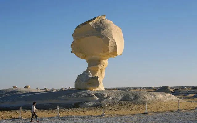 Tourists visit the mushroom, a massive white inselberg that are characteristic of Egypt's White Desert which is located 500 km southwest of Cairo, Egypt, 07 February 2021. (Photo by Khaled Elfiqi/EPA/EFE)