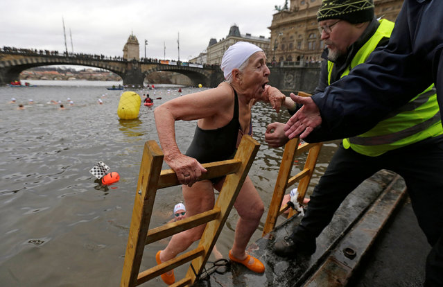 A swimmer is helped out of the Vltava river after the annual Christmas winter swimming competition in Prague, Czech Republic, December 26, 2016. (Photo by David W. Cerny/Reuters)