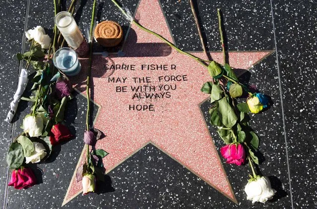 A view of a temporary star made by fans in tribute to actress Carrie Fisher on Hollywood Walk of Fame in Hollywood, California, on December 28, 2016. Friends, fans and Hollywood stars added their voices to a torrent of tributes for “Star Wars” actress Carrie Fisher, who died Tuesday at the age of 60 following a heart attack. (Photo by Valerie Macon/AFP Photo)