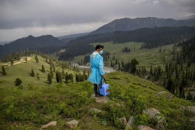 A healthcare worker Nazir Ahmed carries vaccines and looks out from a hillock for Kashmiri shepherds to vaccinate them in Tosamaidan, southwest of Srinagar, Indian controlled Kashmir on June 21, 2021. The challenge for health workers travelling to to long distances for vaccinating mostly shepherds and nomadic herders in the remote meadows of the Himalayan region has not been the treacherous terrain but to persuade women to get COVID-19 vaccines. Fueled by misinformation and mistrust, many residents, particularly in remote rural areas, believe that vaccines cause impotence, serious side effects and could even kill. Some simply say they do not need the shots because they’re immune to the coronavirus. (Photo by Dar Yasin/AP Photo)