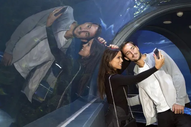 Serbia's Viktor Troicki and his girlfriend Aleksandra Djordjevic take selfies during their visit to Melbourne Aquarium, as part of a promotional event for the Australian Open tennis tournament, in this January 22, 2016 handout photo. (Photo by Fiona Hamilton/Reuters)