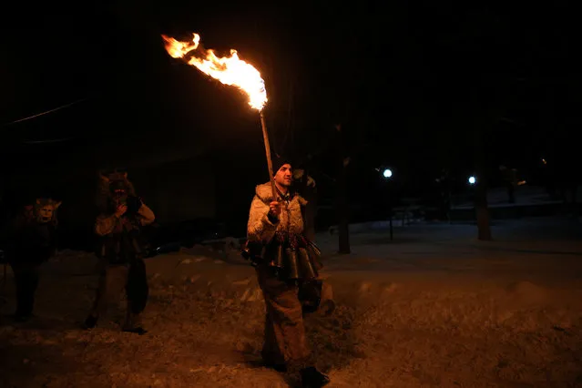 A man dressed in a costume made of animal fur, called “kuker”, carries a torch during a festival in the town of Batanovtsi, Bulgaria January 13, 2017. (Photo by Stoyan Nenov/Reuters)