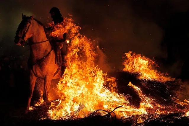 A man rides a horse through a bonfire during “Las Luminarias” Festival on January 16, 2017 in San Bartolome de Pinares, Spain. In honor of Saint Anthony the Abbot, the patron saint of animals, horses are ridden through the bonfires on the night before the official day of honoring animals in Spain. The tradition, which is hundreds of years old, is meant to purify and protect the animal in the coming year. (Photo by Pablo Blazquez Dominguez/Getty Images)