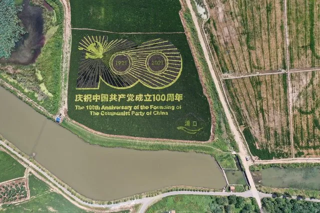 This aerial photo taken on September 12, 2021 shows an image commemorating the 100th anniversary of the Chinese Communist Party, created by growing different varieties of rice, in a paddy in Nanjing, China's eastern Jiangsu province. (Photo by Reuters/China Stringer Network)