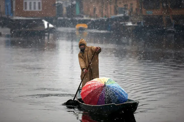 A man rows his boat in the waters of Dal Lake during a snowfall in Srinagar January 25, 2017. (Photo by Danish Ismail/Reuters)