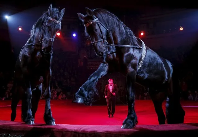 Horses and their trainer perform during “Stars and starlets”, a new programme, at the National Circus in the Ukrainian capital of Kiev April 30, 2015. (Photo by Gleb Garanich/Reuters)