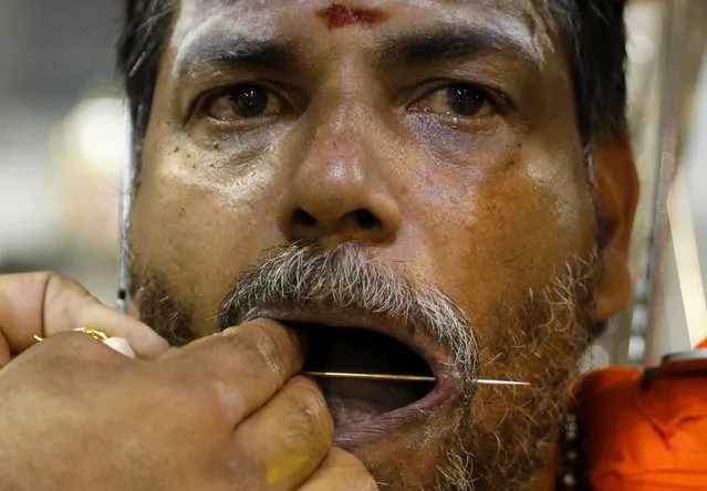 A devotee pierces his mouth during the Hindu festival of Thaipusam in Singapore February 9, 2017. (Photo by Edgar Su/Reuters)