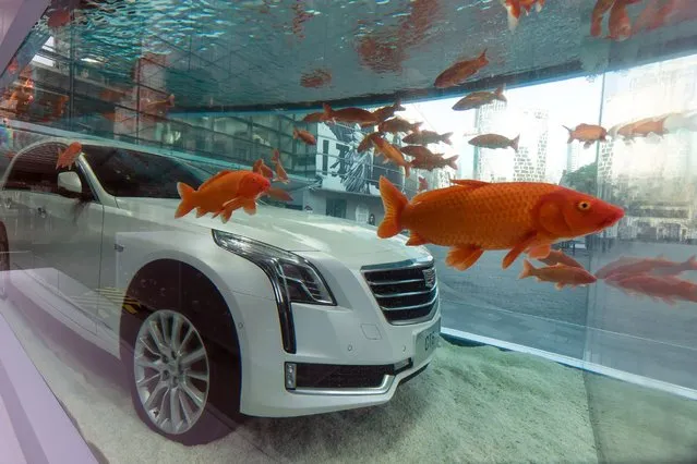 A new Cadillac CT6 is displayed submerged in a giant fish tank outside a mall in Shanghai on February 25, 2016 as part of a promotion for the US carmaker. (Photo by VCG/VCG via Getty Images)
