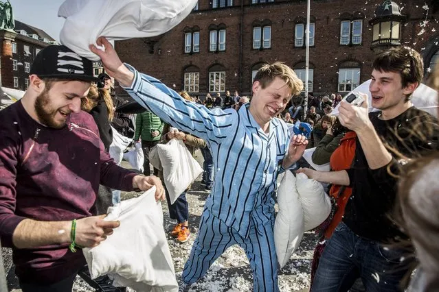 People fight with pillows during World Pillow Fight Day in front of the City Hall in Copenhagen, Denmark, 02 April 2016. (Photo by Nikolai Linares/EPA)
