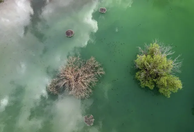 An aerial view made with a drone shows Alloz reservoir in Lerate, Navarra, Spain, 10 April 2024. The intense rain of the last two weeks have increased the water level at the reservoir, which is now at 85 percent of its capacity, mitigating the drought that most regions of Spain have been experiencing during the last months.  (Photo by Jesús Diges/EPA)