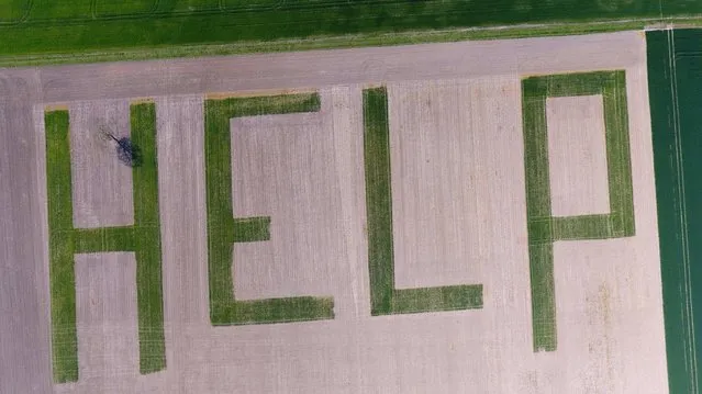 This aerial picture taken on April 13, 2017 shows the word “HELP” formed by a farmer in his wheat field in Athee-sur-Cher near Tours, central France, to denounce the crisis in France's agricultural sector. (Photo by Guillaume Souvant/AFP Photo)