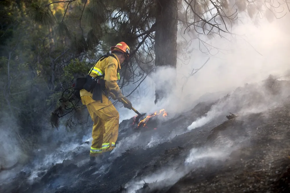 The Day in Photos – August 7, 2015