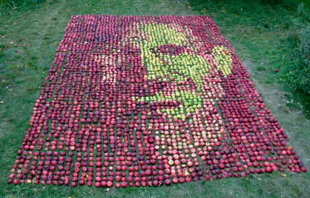 Portrait Of Steve Jobs Made With Apples