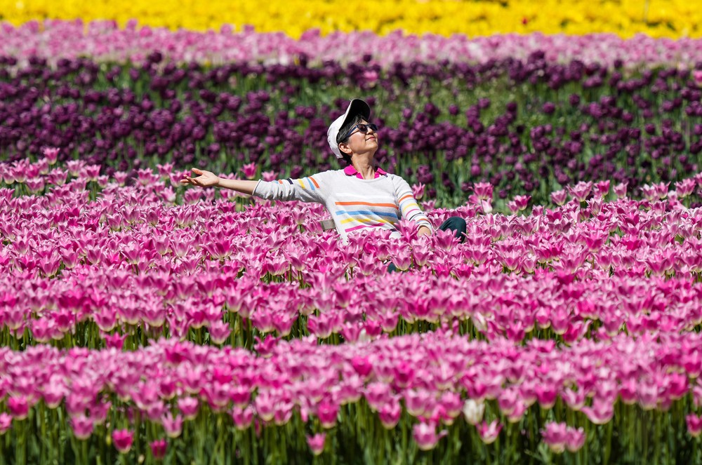 Some Photos: In Flowers