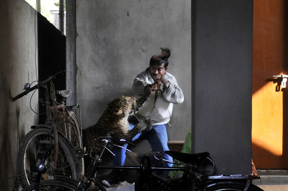 Best Associated Press Photos of the 2012 Year