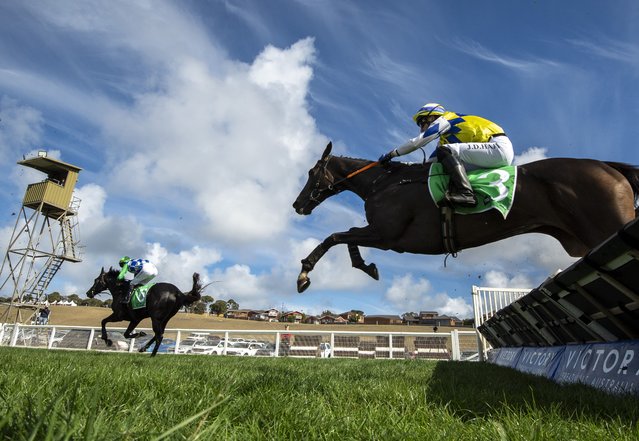 Jordan Hart riding Highland Blaze jumps the last hurdle before winning Race 2, the Ecycle Solutions Maiden Hurdle during the Warrnambool Racing Carnival at Warrnambool Racecourse on April 29, 2025 in Warrnambool, Australia. (Photo by Vince Caligiuri/Getty Images)