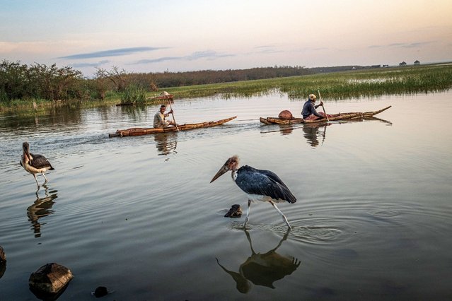 Two fishermen set off at dawn for a day of fishing aboard traditional handmade dugout canoes on Lake Dembel, one of Ethiopia's Central Rift Valley lakes long affected by overuse and pollution, in Batu on May 20, 2025. There is a constant hum around Ethiopia's enormous Lake Dembel, it is the sound of its water steadily being sucked out by pumps. The lake's depth has halved since 1990 from four metres to two, according to Wetlands International, an NGO. Heavy pesticide use in farms surrounding Lake Dembel is poisoning the water that remains while the lake's many fishermen are also affected. (Photo by Marco Simoncelli/AFP Photo)