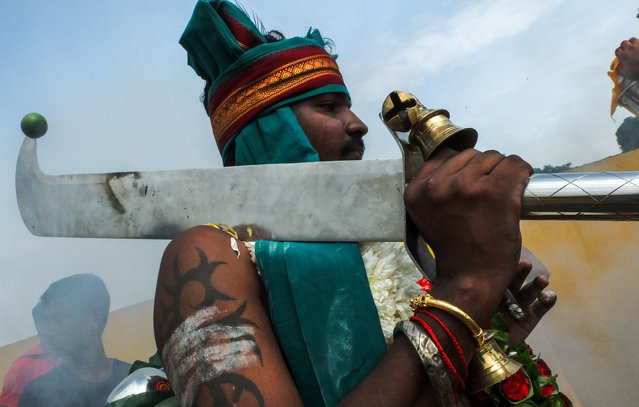 A Hindu devotee in a trance on their pilgrimage to the Batu Caves temple in Kuala Lumpur, Malaysia on January 28, 2018. Malaysian Hindu participate in the annual Hindu thanksgiving festival in which devotees subject themselves to painful rituals in a demonstration of faith and penance held in honour of Lord Murugan, Hindu in Malaysia celebrated Thaipusam begin on Jan 28 until 31 this year. (Photo by Aflo/Rex Features/Shutterstock)